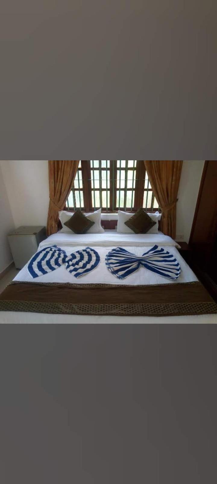 Pebbles Guesthouse أنجونا المظهر الخارجي الصورة